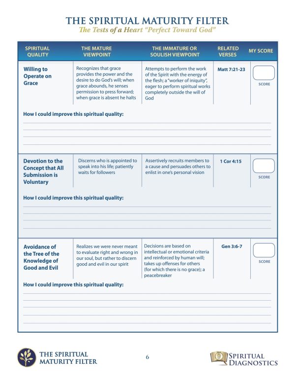 Spiritual Maturity Filter - Image 6