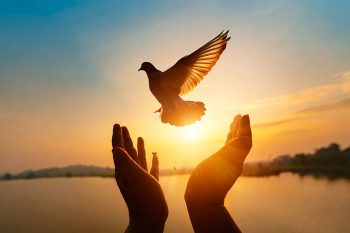 Do you Want Peace With God Do you Want Peace With God